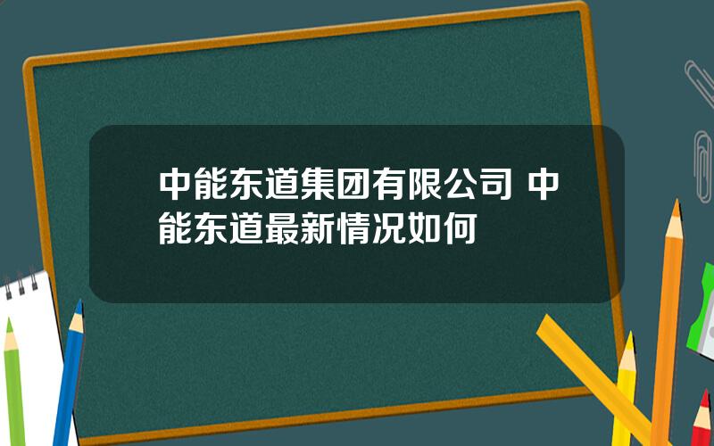 中能东道集团有限公司 中能东道最新情况如何